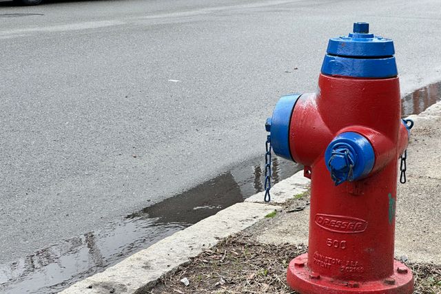 A red fire hydrant with a blue top and arms on a rainy day. The texture of the hydrant itself and the road behind the hydrant are higher contrast, less smoothed out.
