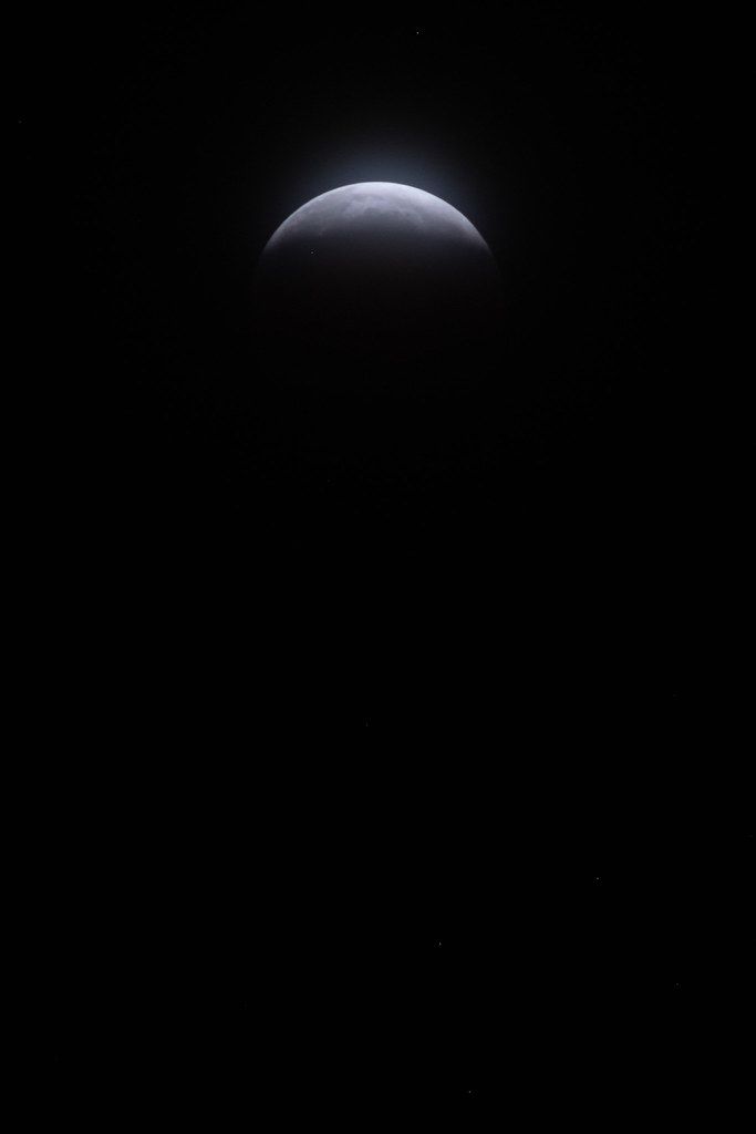 DSCF1734