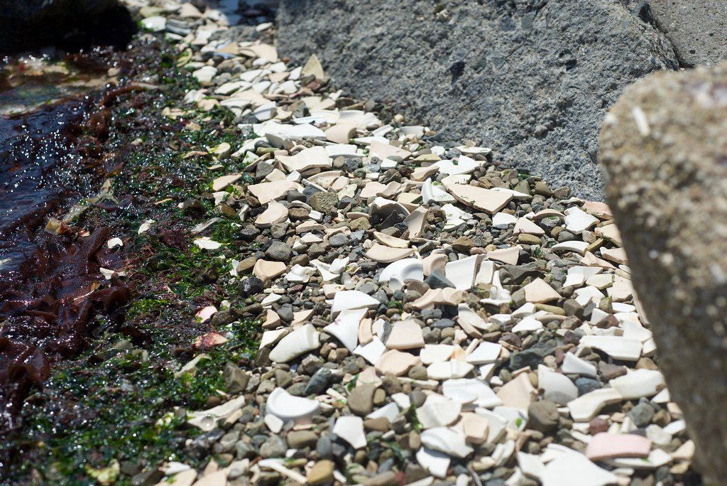 Tepco Beach