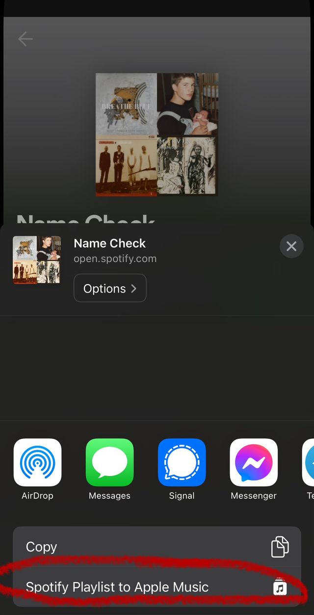 Screenshot of an iOS share sheet. It is sharing a link under the domain open.spotify.com titled "Name Check." At the bottom are two options: Copy and Spotify Playlist to Apple Music
