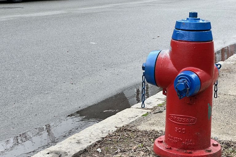 A red fire hydrant with a blue top and arms on a rainy day. The texture of the hydrant itself and the road behind the hydrant are higher contrast, less smoothed out.